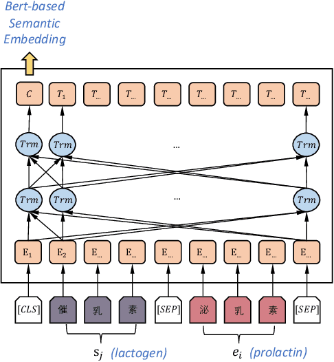 Figure 4 for Enriching Medcial Terminology Knowledge Bases via Pre-trained Language Model and Graph Convolutional Network