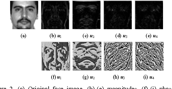 Figure 1 for Robust Degraded Face Recognition Using Enhanced Local Frequency Descriptor and Multi-scale Competition