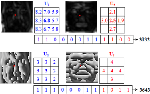 Figure 2 for Robust Degraded Face Recognition Using Enhanced Local Frequency Descriptor and Multi-scale Competition