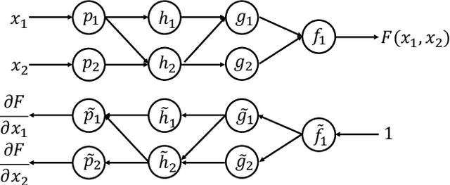 Figure 1 for A scheme for automatic differentiation of complex loss functions