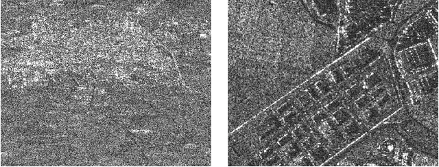 Figure 1 for SAR image despeckling through convolutional neural networks