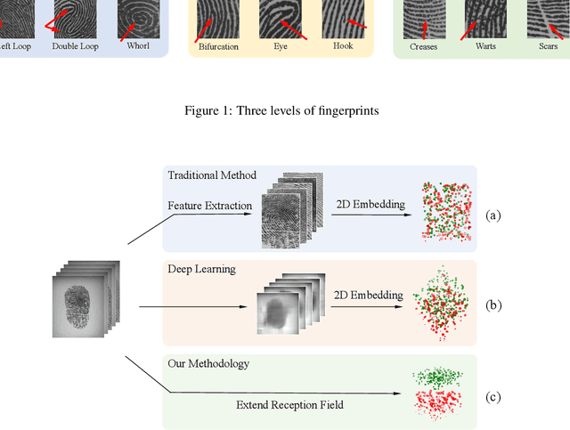 Figure 3 for Research on Gender-related Fingerprint Features