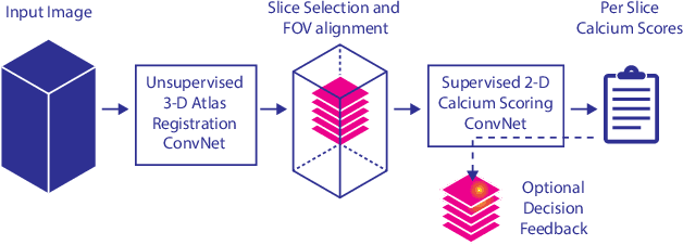 Figure 3 for Direct Automatic Coronary Calcium Scoring in Cardiac and Chest CT