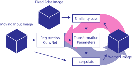 Figure 4 for Direct Automatic Coronary Calcium Scoring in Cardiac and Chest CT