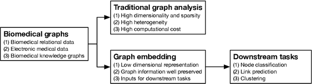 Figure 1 for A Literature Review of Recent Graph Embedding Techniques for Biomedical Data