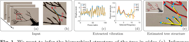 Figure 1 for Seeing Tree Structure from Vibration