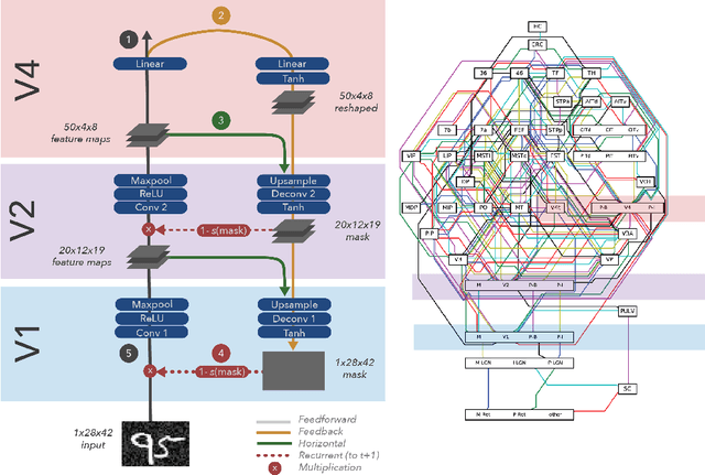 Figure 1 for Object Based Attention Through Internal Gating