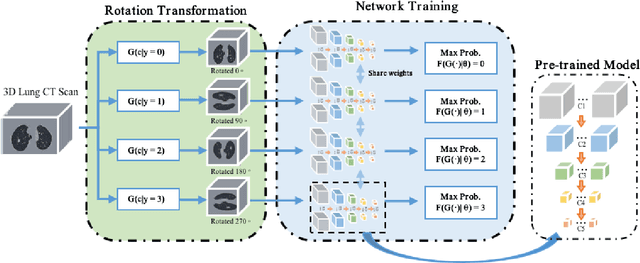 Figure 3 for Accurate and Robust Pulmonary Nodule Detection by 3D Feature Pyramid Network with Self-supervised Feature Learning