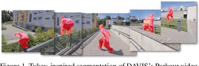 Figure 1 for Tukey-Inspired Video Object Segmentation