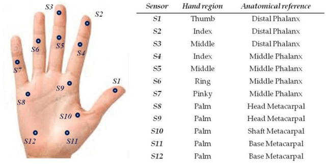 Figure 4 for Correlating grip force signals from multiple sensors highlights prehensile control strategies in a complex task-user system