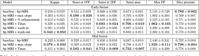 Figure 4 for Perfusion imaging in deep prostate cancer detection from mp-MRI: can we take advantage of it?