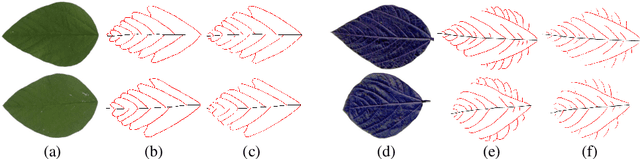 Figure 1 for Mask guided attention for fine-grained patchy image classification