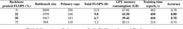 Figure 2 for Towards Efficient Capsule Networks