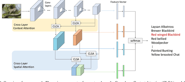 Figure 1 for Cross-layer Attention Network for Fine-grained Visual Categorization