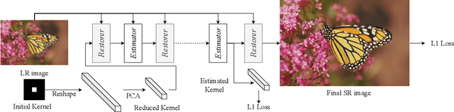 Figure 1 for Unfolding the Alternating Optimization for Blind Super Resolution