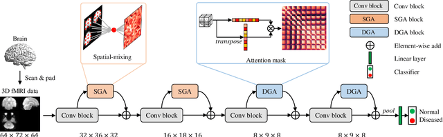 Figure 2 for First Glance Diagnosis: Brain Disease Classification with Single fMRI Volume