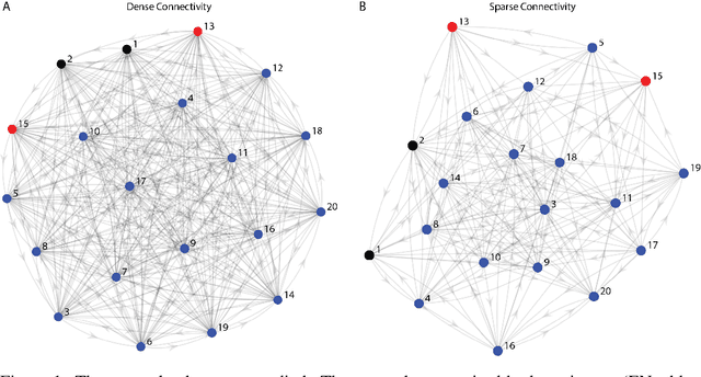 Figure 1 for Rich dynamics caused by known biological brain network features resulting in stateful networks