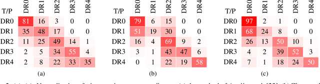 Figure 4 for Cost-Sensitive Regularization for Diabetic Retinopathy Grading from Eye Fundus Images