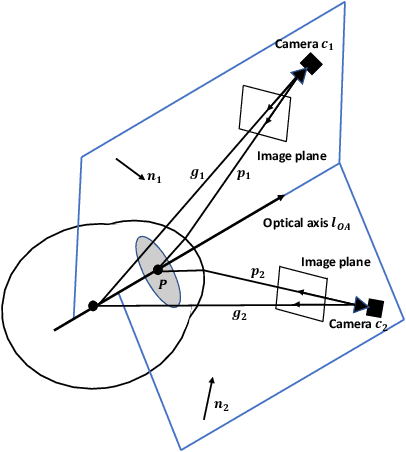 Figure 4 for What You See is What You Grasp: User-Friendly Grasping Guided by Near-eye-tracking