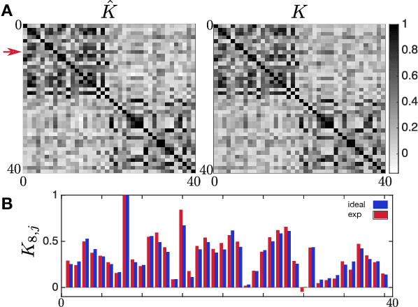 Figure 4 for Supervised learning with quantum enhanced feature spaces