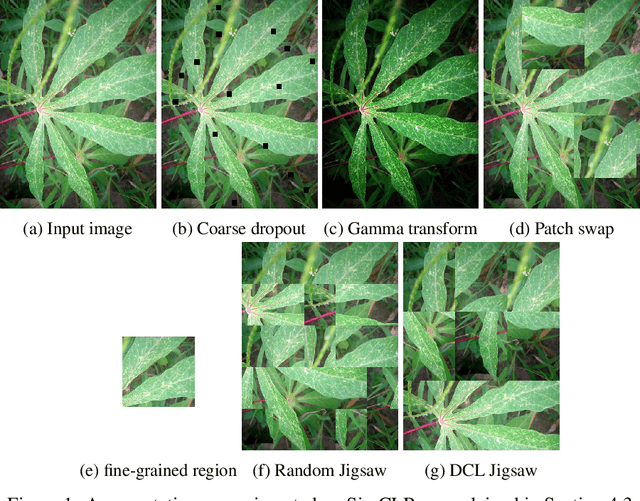 Figure 1 for Self-Supervised Learning for Fine-Grained Image Classification