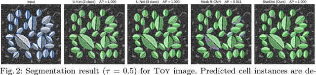 Figure 3 for Cell Detection with Star-convex Polygons