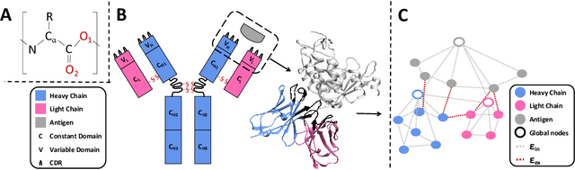 Figure 1 for Conditional Antibody Design as 3D Equivariant Graph Translation