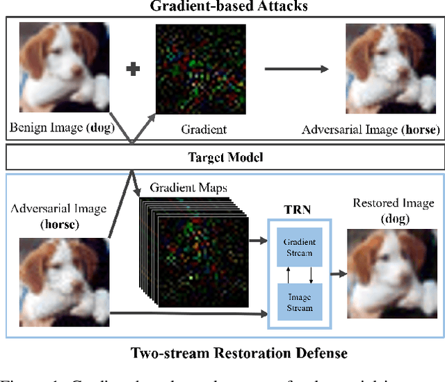 Figure 1 for An Eye for an Eye: Defending against Gradient-based Attacks with Gradients