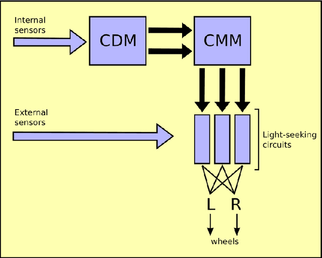 Figure 1 for Cognitively-inspired homeostatic architecture can balance conflicting needs in robots