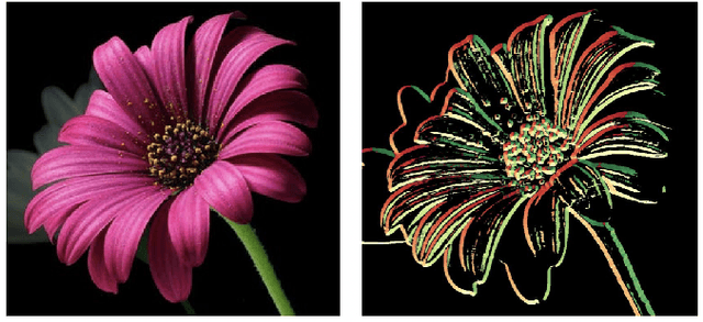 Figure 1 for Artistic Enhancement and Style Transfer of Image Edges using Directional Pseudo-coloring