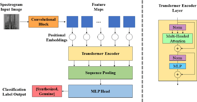 Figure 2 for Synthesized Speech Detection Using Convolutional Transformer-Based Spectrogram Analysis
