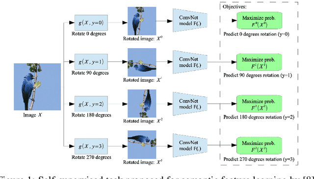 Figure 1 for Investigating a Baseline Of Self Supervised Learning Towards Reducing Labeling Costs For Image Classification