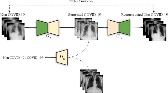 Figure 3 for Synthesis of COVID-19 Chest X-rays using Unpaired Image-to-Image Translation