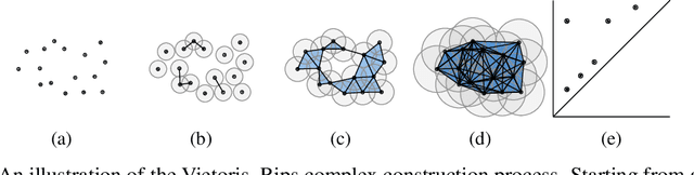 Figure 1 for Topological Data Analysis of copy number alterations in cancer