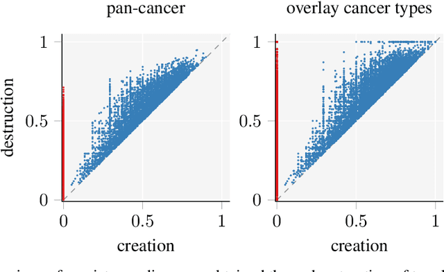 Figure 3 for Topological Data Analysis of copy number alterations in cancer