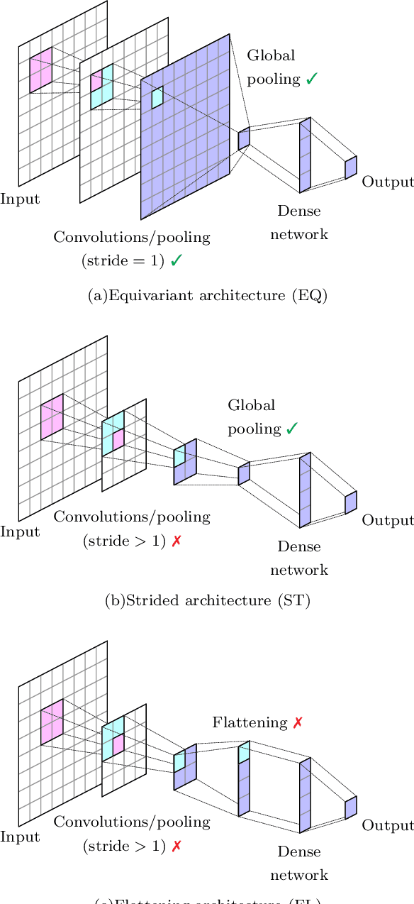 Figure 1 for Generalization capabilities of translationally equivariant neural networks