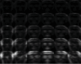 Figure 3 for Face Recognition Using Scattering Convolutional Network