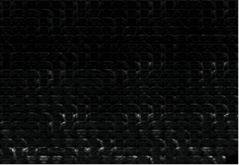 Figure 4 for Face Recognition Using Scattering Convolutional Network