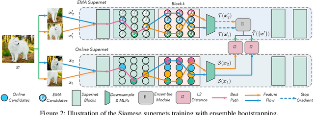 Figure 3 for BossNAS: Exploring Hybrid CNN-transformers with Block-wisely Self-supervised Neural Architecture Search