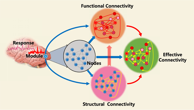 Figure 1 for A Novel Brain Decoding Method: a Correlation Network Framework for Revealing Brain Connections