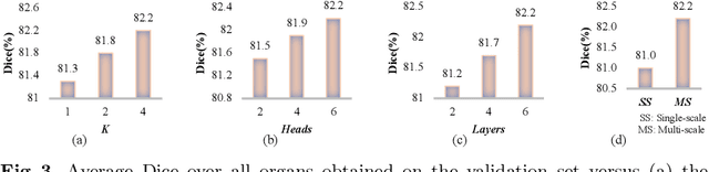 Figure 4 for CoTr: Efficiently Bridging CNN and Transformer for 3D Medical Image Segmentation