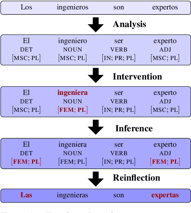 Figure 1 for Counterfactual Data Augmentation for Mitigating Gender Stereotypes in Languages with Rich Morphology