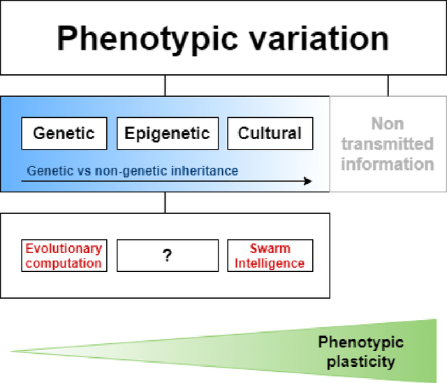 Figure 3 for Epigenetic opportunities for Evolutionary Computation
