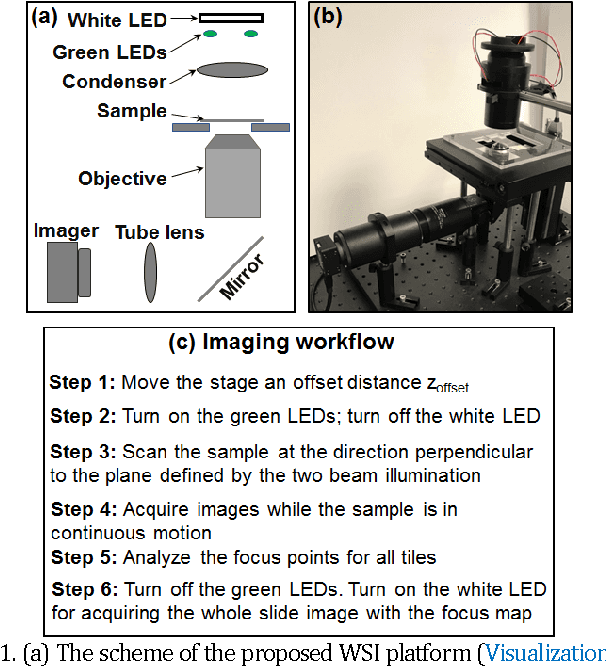 Figure 2 for Rapid focus map surveying for whole slide imaging with continues sample motion