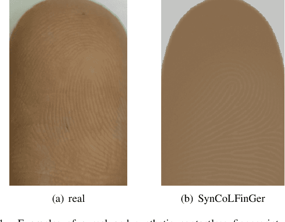 Figure 1 for SynCoLFinGer: Synthetic Contactless Fingerprint Generator