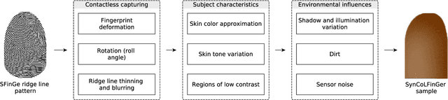 Figure 3 for SynCoLFinGer: Synthetic Contactless Fingerprint Generator