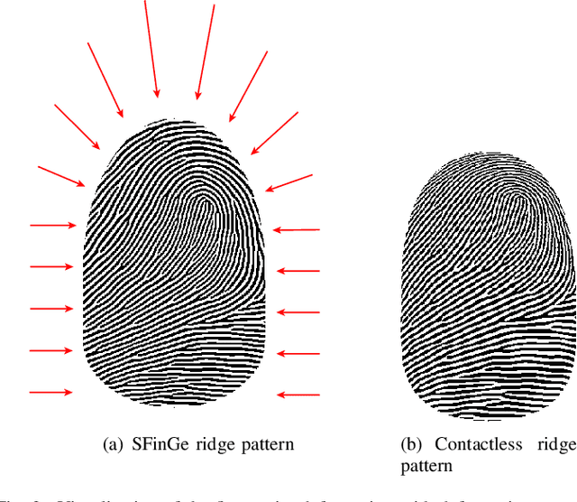 Figure 4 for SynCoLFinGer: Synthetic Contactless Fingerprint Generator