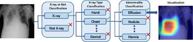 Figure 1 for End-to-End Deep Diagnosis of X-ray Images