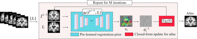 Figure 1 for Hybrid Atlas Building with Deep Registration Priors