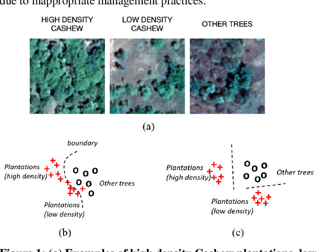 Figure 1 for Clustering augmented Self-Supervised Learning: Anapplication to Land Cover Mapping